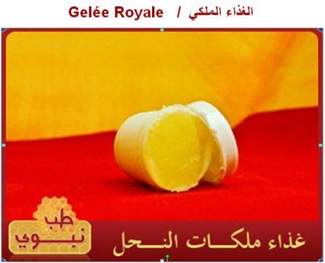 gelée royale