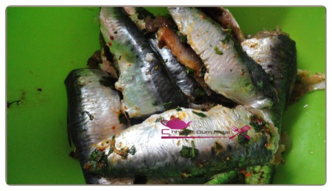 friture sardine (2)