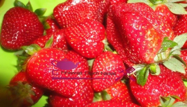 mousse fraise (1)