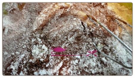 cake boule coco (6)