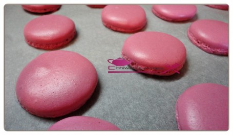 macaron (9)