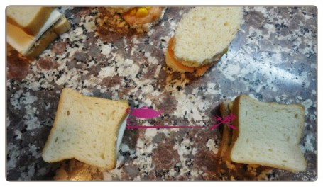 pain de mie au saumon et anchois (4)