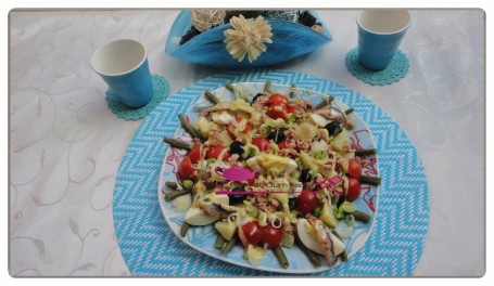 alade nicoise (4)