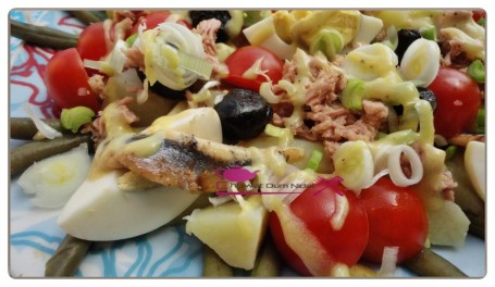 alade nicoise (7)