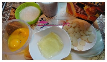 Entremet glacé yaourt et fruits rouge (1)