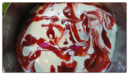 Entremet glacé yaourt et fruits rouge (18)