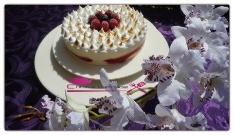 Entremet glacé yaourt et fruits rouge (23)