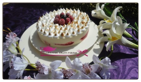 Entremet glacé yaourt et fruits rouge (24)