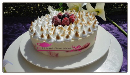 Entremet glacé yaourt et fruits rouge (26)