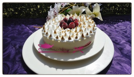 Entremet glacé yaourt et fruits rouge (28)