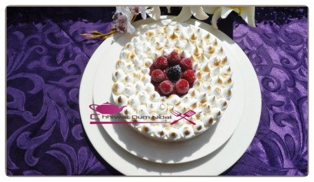 Entremet glacé yaourt et fruits rouge (29)