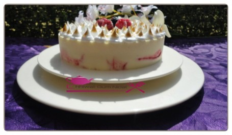 Entremet glacé yaourt et fruits rouge (30)