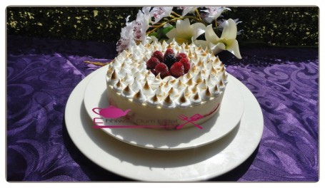 Entremet glacé yaourt et fruits rouge (32)