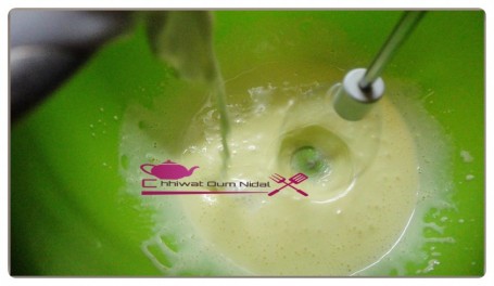 Entremet glacé yaourt et fruits rouge (4)