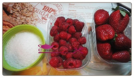Entremet glacé yaourt et fruits rouge (8)