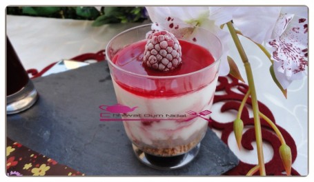 cheesecake framboise (23)