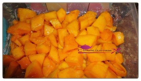 congelation mangue (1)