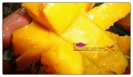 congelation mangue (3)