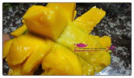 congelation mangue (4)