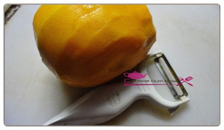 congelation mangue (5)