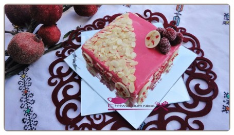 gateau glace framboise vanille (1)