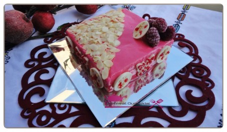 gateau glace framboise vanille (2)