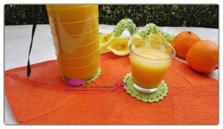 jus orange citron thermomix TM5 (5)