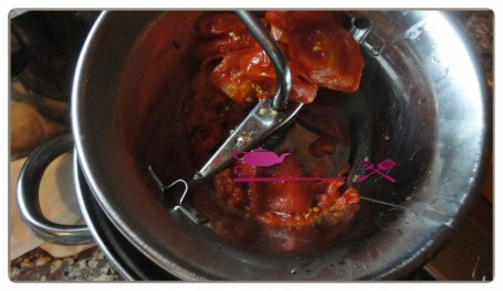 tomate congelée (3)