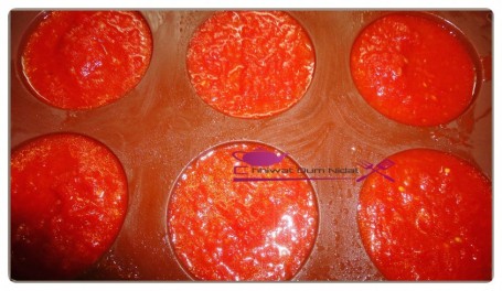 tomate congelée (5)